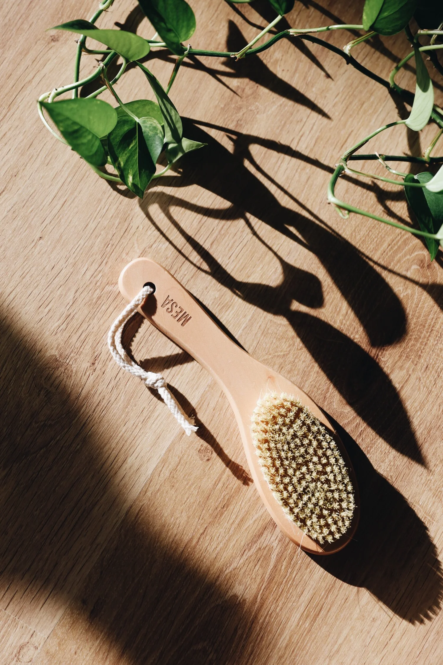 Mesa Yoga Dry Brush